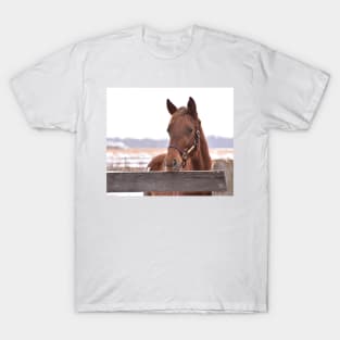 Skipshot filly T-Shirt